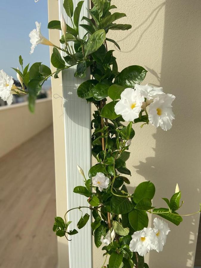 Rossini Penthouse Cagliari Exterior foto